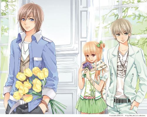 三叶草研究所网站入口